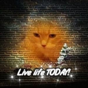 Meet your Posher, Lynn